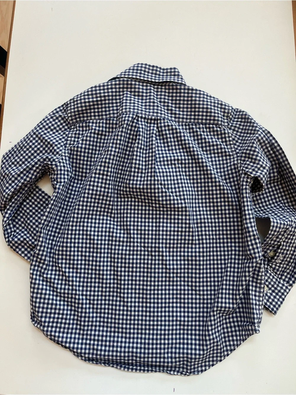 Ralph Lauren Blue and White Gingham Button-Down Shirt with Red Pony